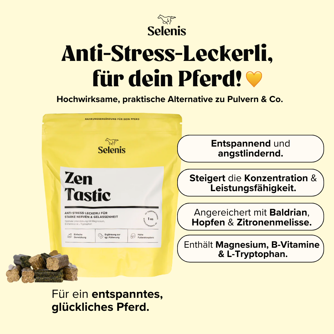 Probierbundle: 6x 175g