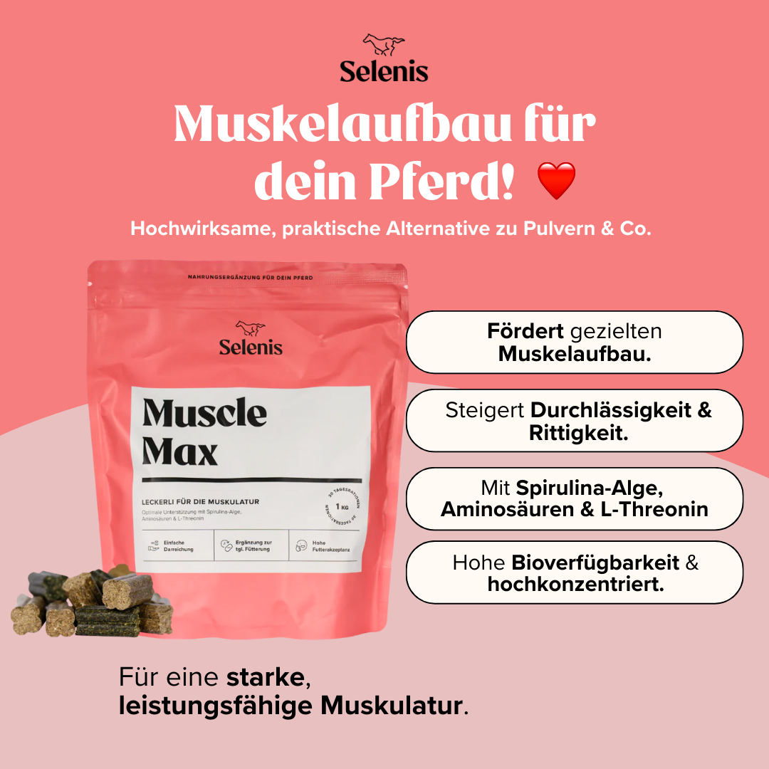 Probierbundle: 6x 175g