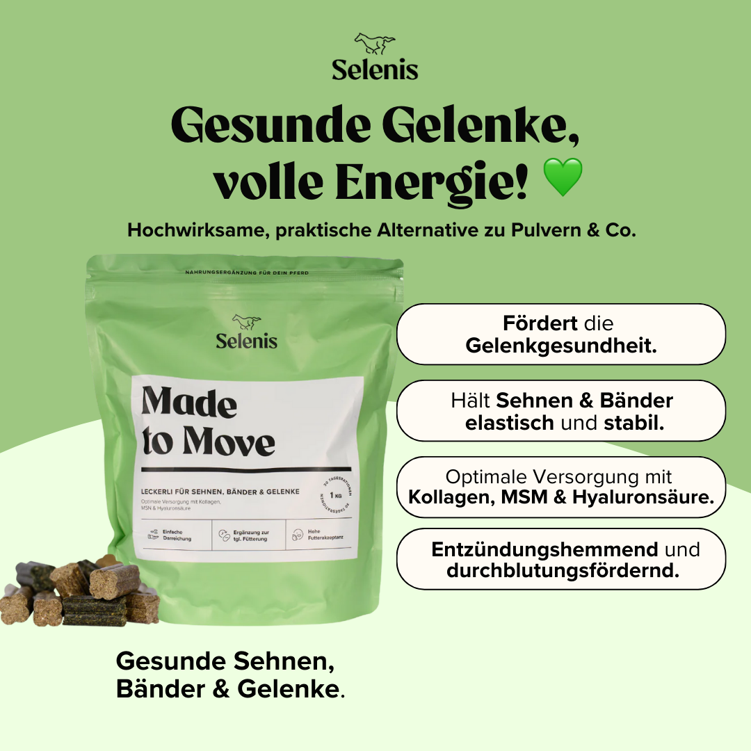 Probierbundle: 6x 175g