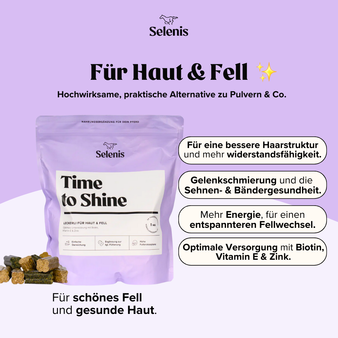 Probierbundle: 6x 175g