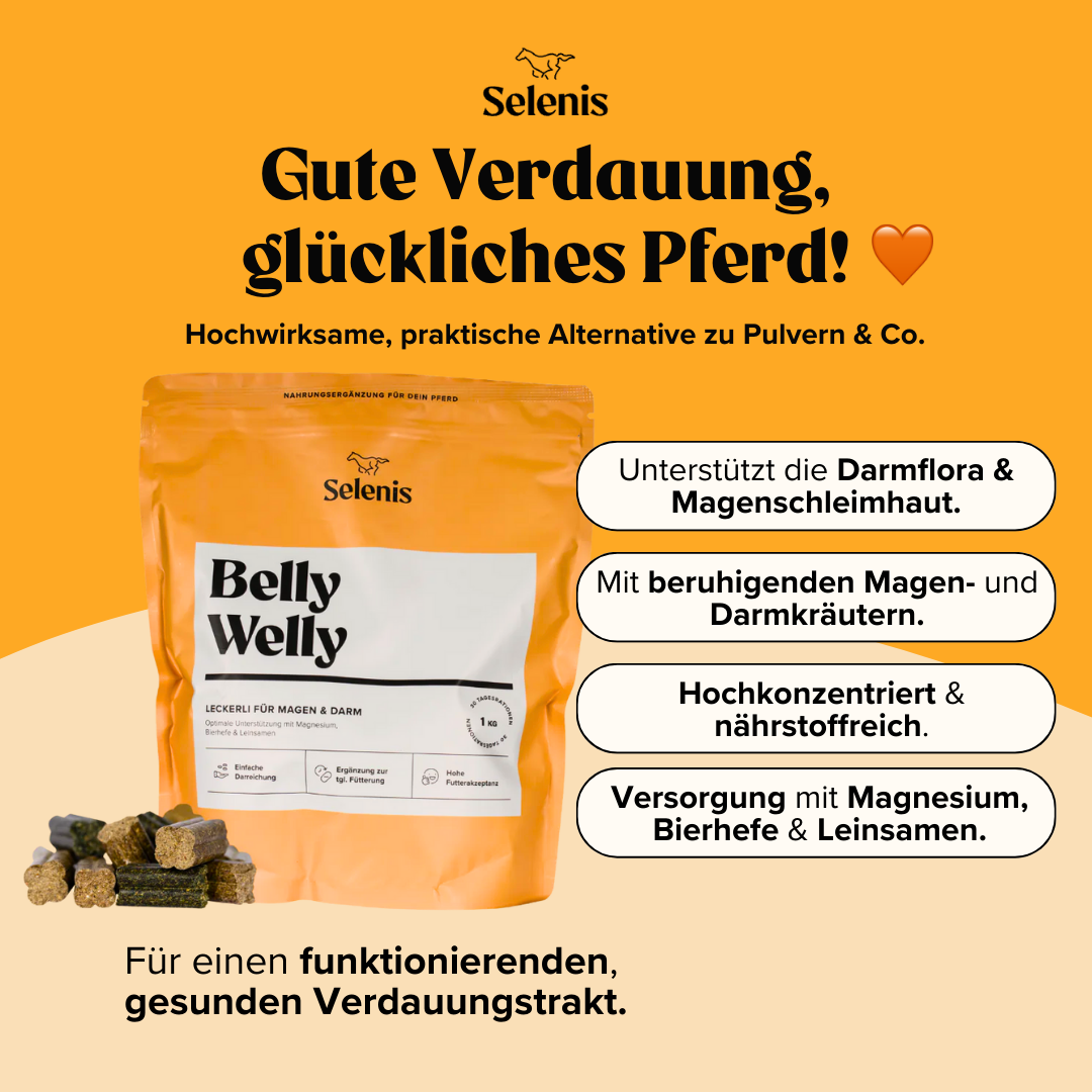 Probierbundle: 6x 175g