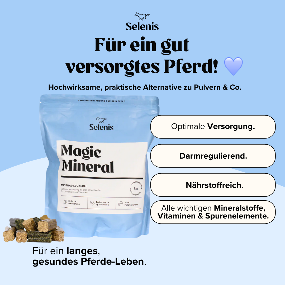 Probierbundle: 6x 175g