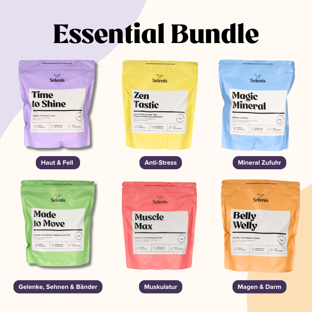 Probierbundle: 6x 175g