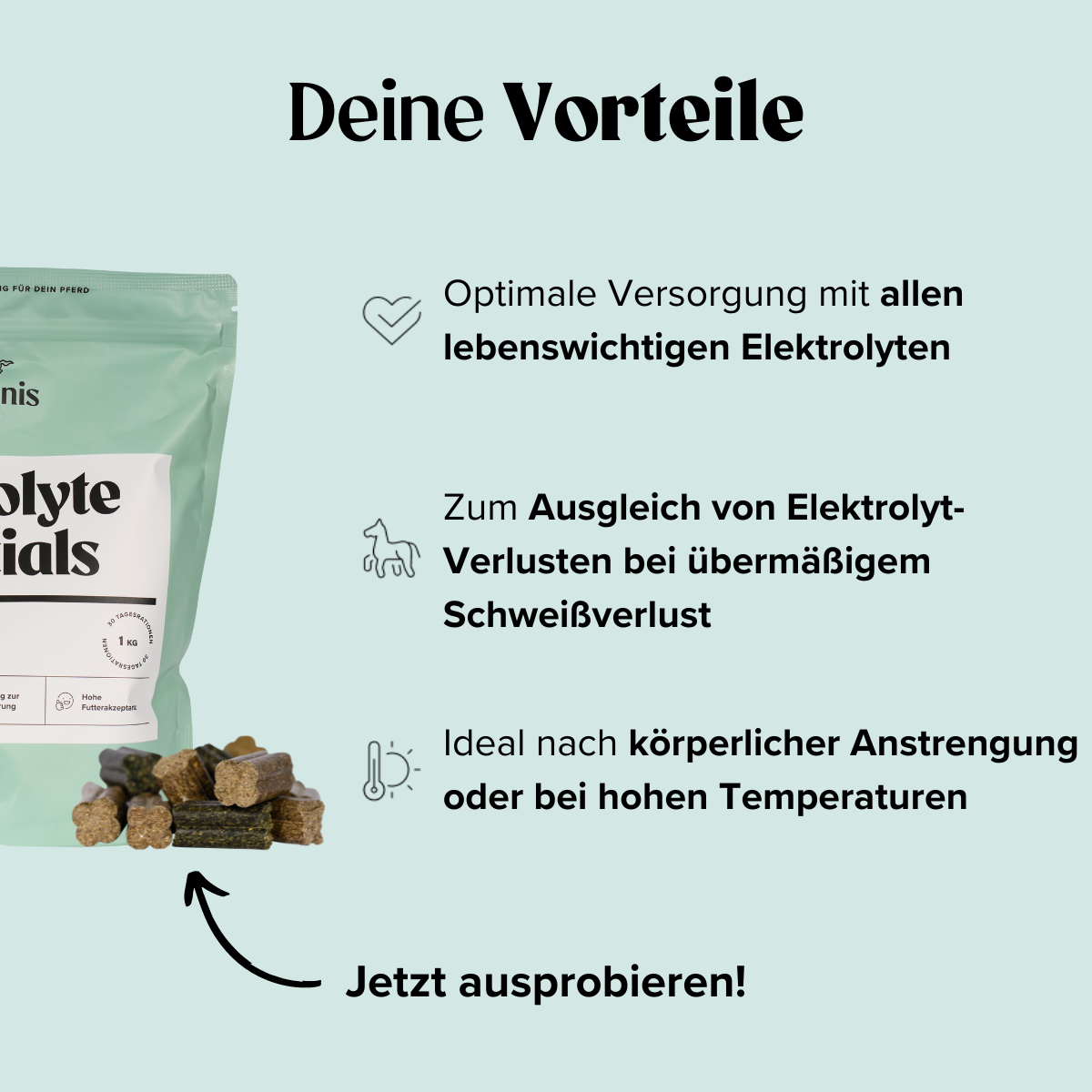 Selenis-zusatzfutter-Pferde-Electolyte-Essentials-1kg-Benefits
