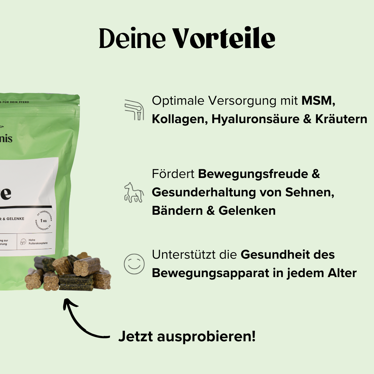 Selenis-zusatzfutter-Pferde-Electolyte-Essentials-1kg-Benefits