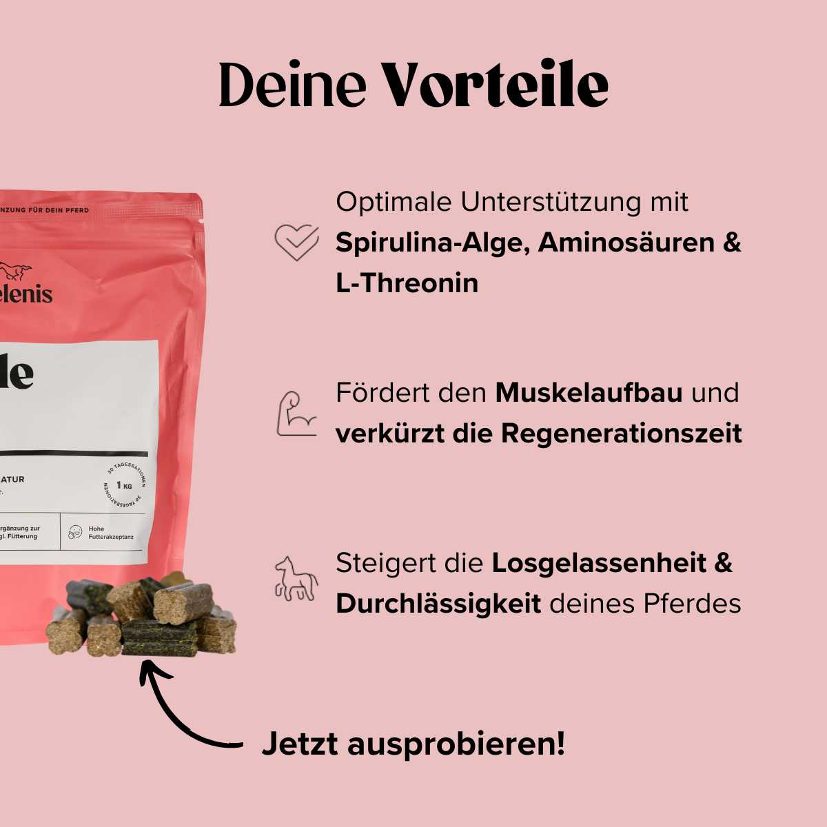 Selenis-Zusatzfutter-Pferde-Muscle-Max-1kg-Benefits
