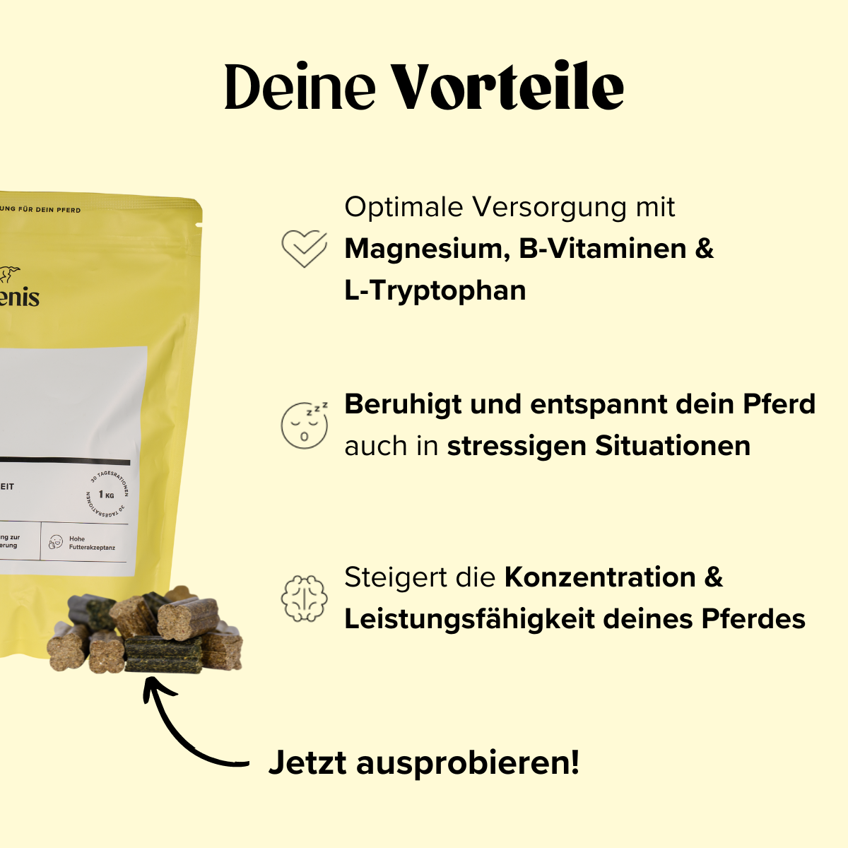 Selenis-Zusatzfutter-Pferde-Time-to-Shine-1kg-benefits